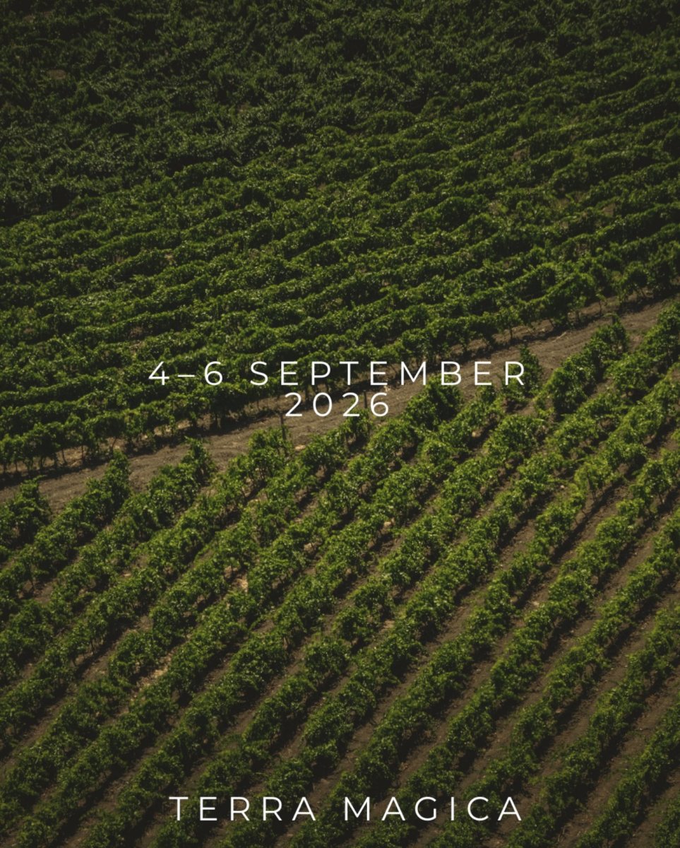 Terra Magica Dance Experience