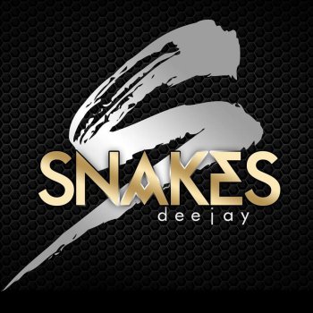 Dj Snakes