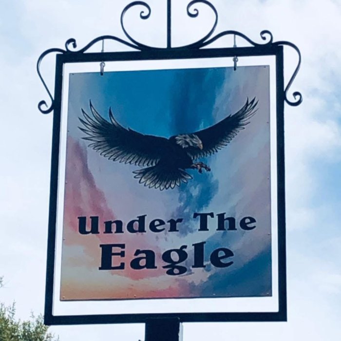Under The Eagle